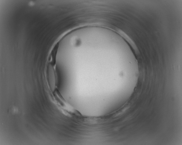 X0000081400956200702090100