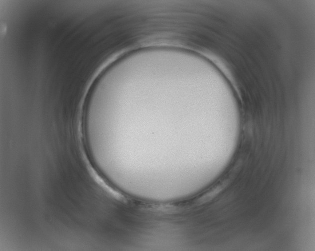 X0000081400957200702090100