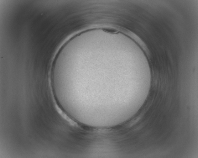 X0000081400958200702090100