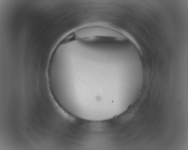 X0000081400959200702090100