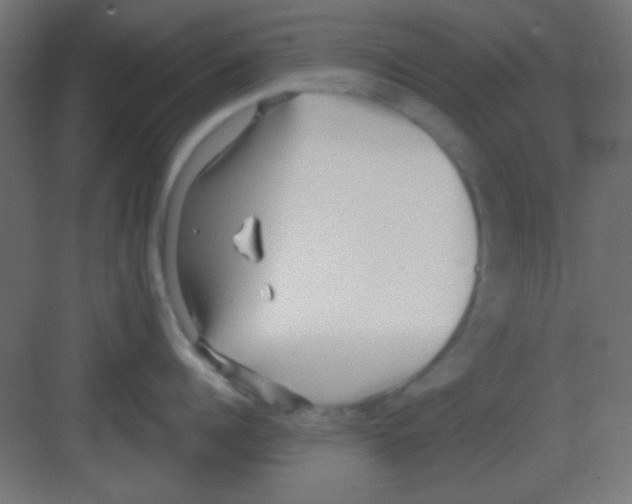 X0000081400960200702090100