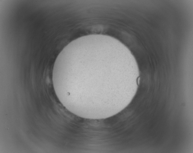 X0000081400962200702090059