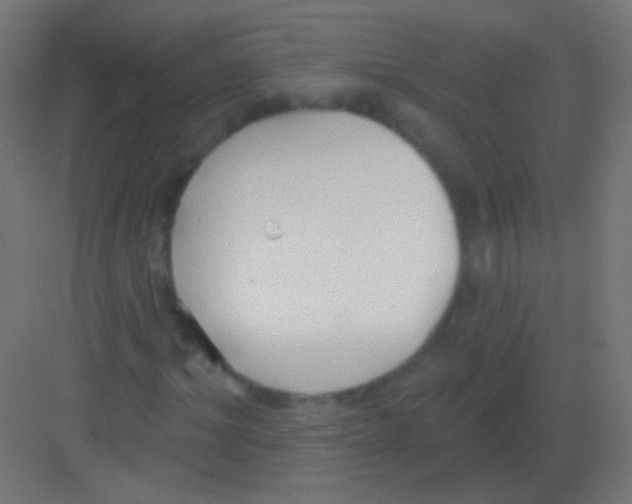 X0000081400964200702090059