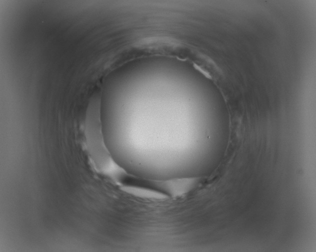 X0000081400965200702090059