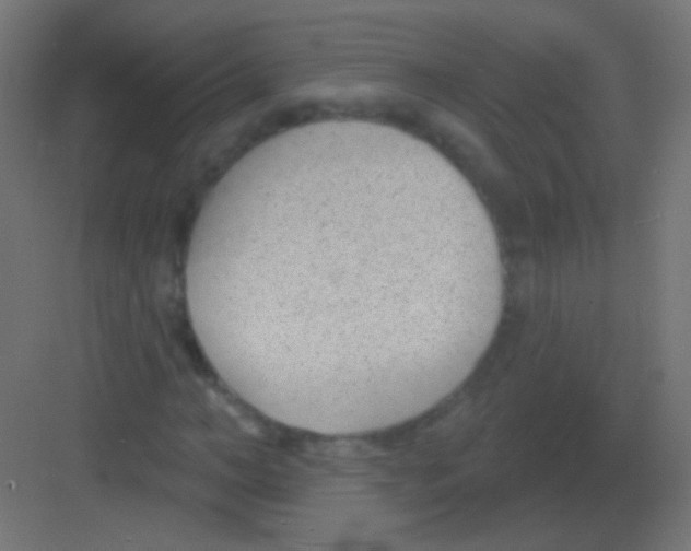 X0000081400966200702090059