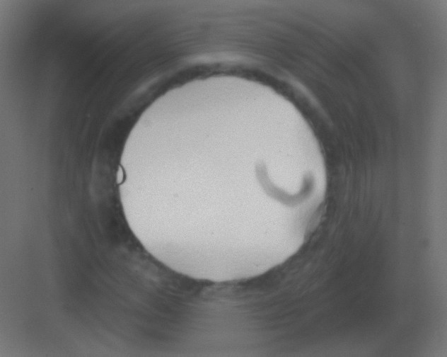 X0000081400967200702090059