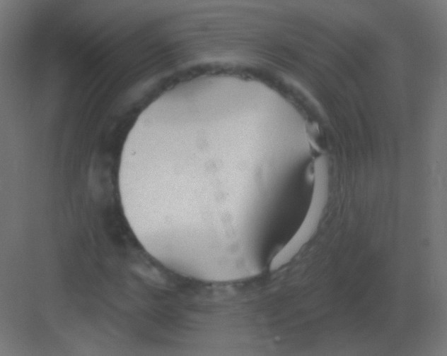 X0000081400968200702090059