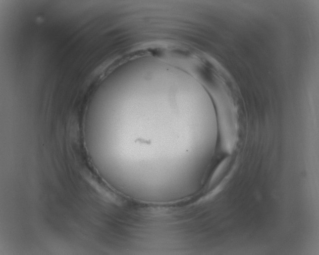 X0000081400969200702090059