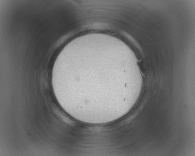 X0000081400970200702090059