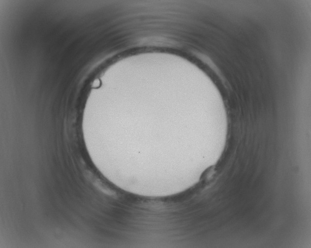 X0000081400971200702090059