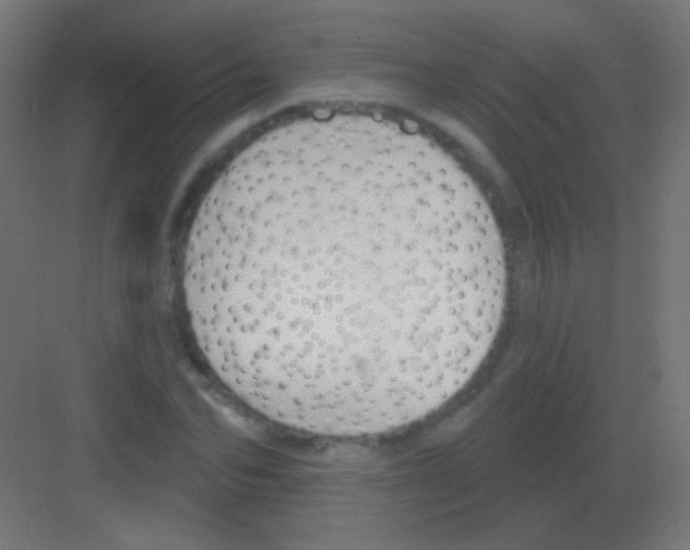 X0000081400974200702090059