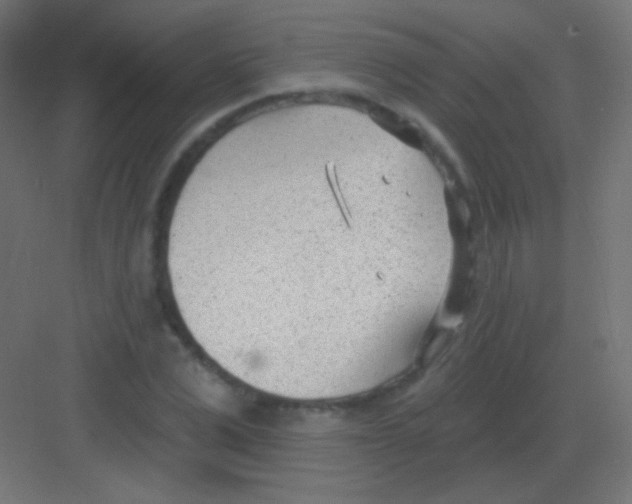 X0000081400975200702090059