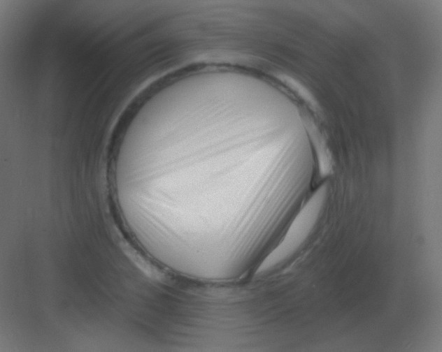 X0000081400976200702090059