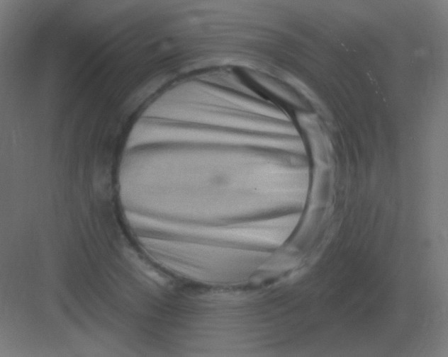 X0000081400977200702090059