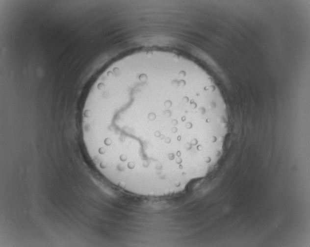 X0000081400978200702090059