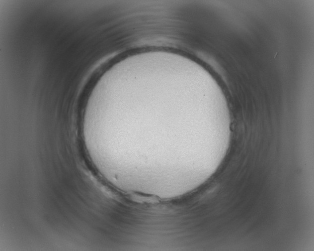 X0000081400979200702090059