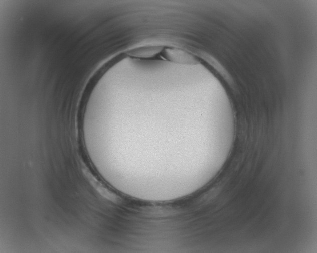 X0000081400980200702090059