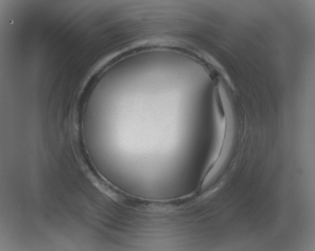 X0000081400981200702090059