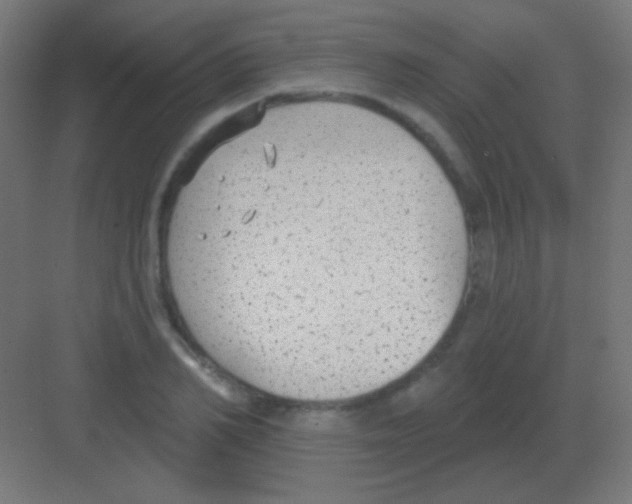 X0000081400982200702090059