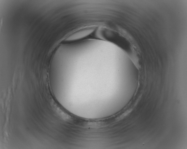 X0000081400985200702090059