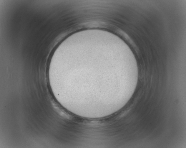 X0000081400986200702090059