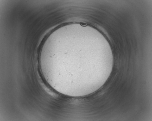 X0000081400987200702090059