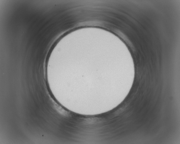 X0000081400988200702090059