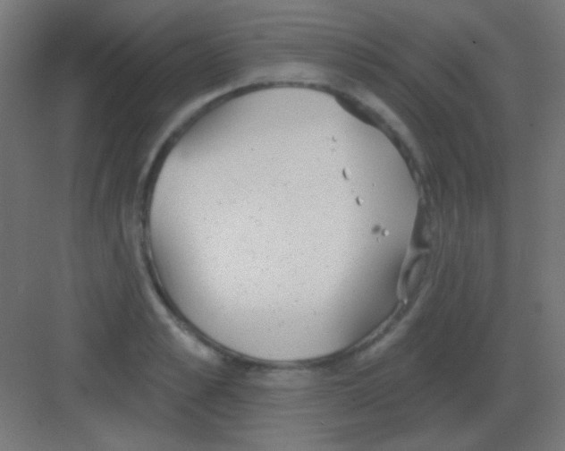 X0000081400989200702090059