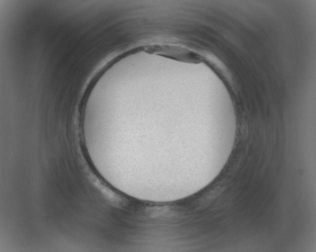 X0000081400990200702090059