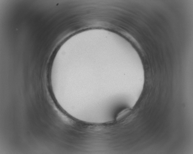 X0000081400991200702090059