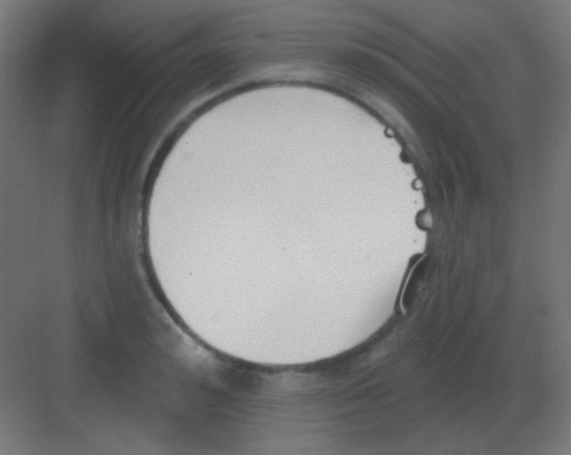 X0000081400992200702090059