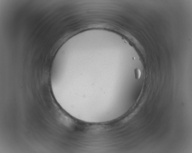 X0000081400993200702090059