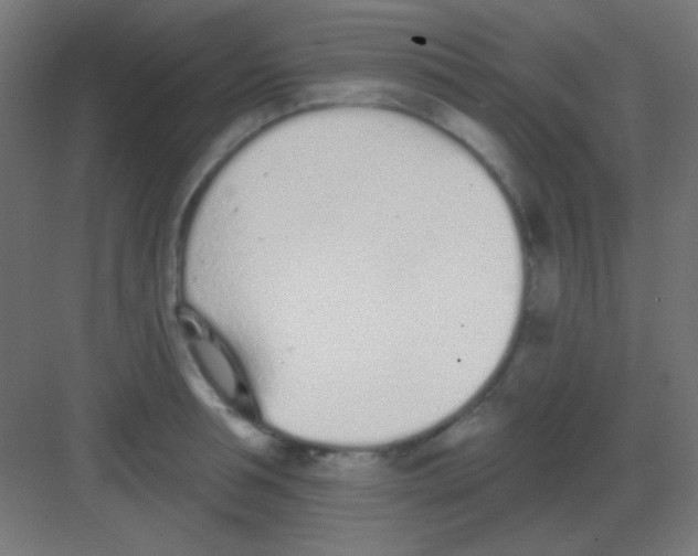 X0000081400994200702090059