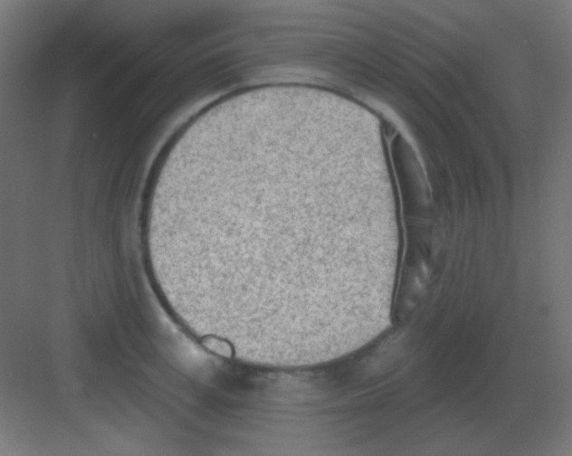 X0000081400995200702090059