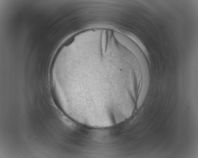 X0000081400996200702090059