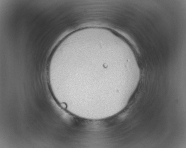 X0000081400998200702090059