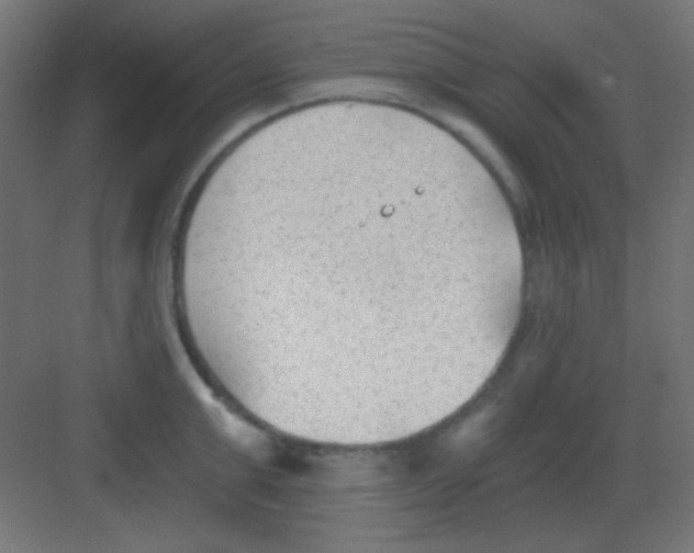 X0000081400999200702090059