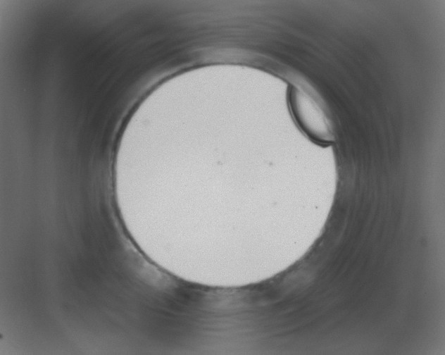 X0000081401000200702090059