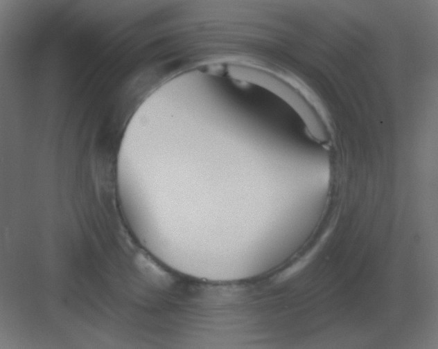 X0000081401001200702090059