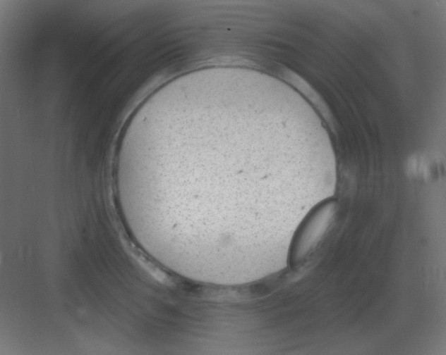 X0000081401002200702090059