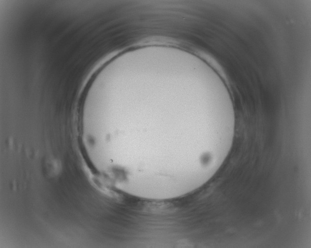 X0000081401003200702090059