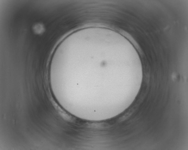 X0000081401004200702090059