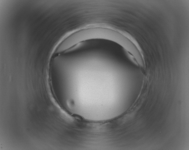 X0000081401005200702090059