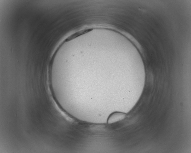 X0000081401006200702090059