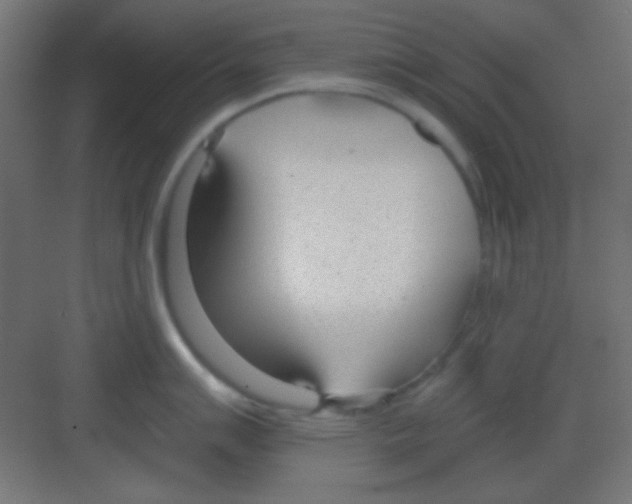 X0000081401007200702090059