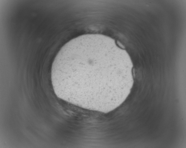 X0000081401009200702090058