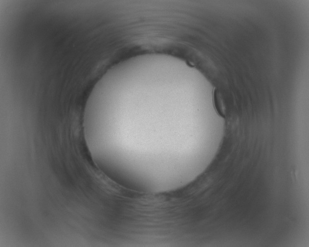 X0000081401012200702090058