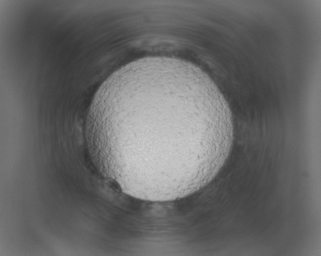 X0000081401013200702090058