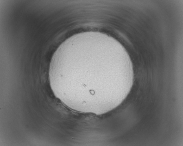 X0000081401015200702090058