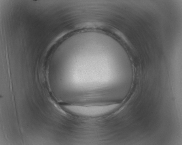 X0000081401018200702090058